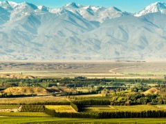 Reveillon nas Cordilheiras - Expedição Mendoza - Cerro Aconcágua - Vinícolas